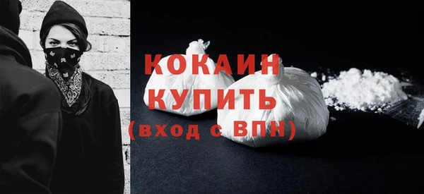 дживик Бородино