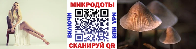 Галлюциногенные грибы мухоморы  omg как войти  Копейск 
